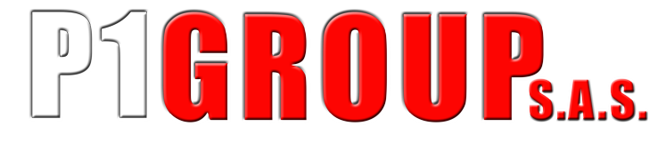 Logo P1 Group SAS